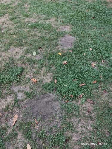 Image #1 from Norman B.