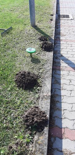 Image #1 from fci f.