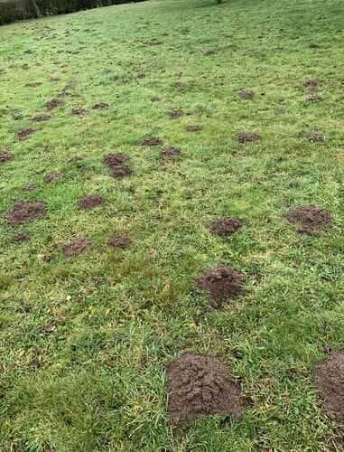 Image #1 from Patrick B.