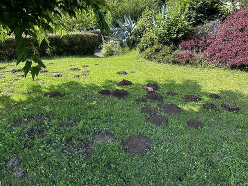 Image #1 from Christophe H.