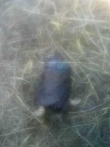 Image #1 from Aldo M.