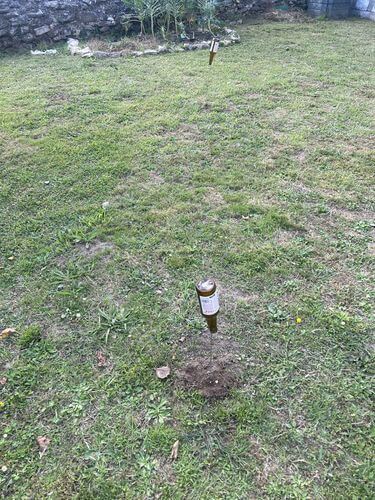 Image #1 from Juan Manuel S.