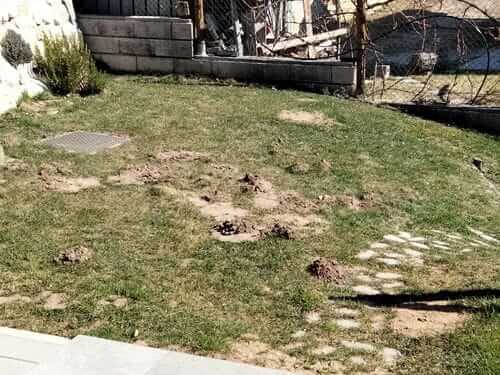 Image #1 from Luca I.