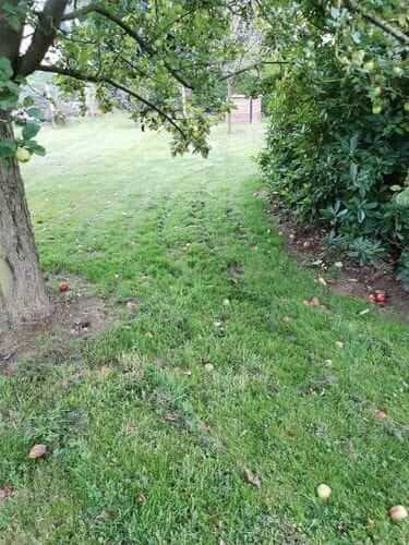 Image #1 from Marylène J.