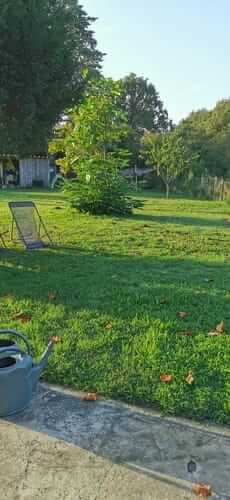 Image #1 from Floris V.