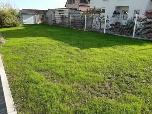 Image #1 from Russell A.