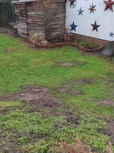 Image #1 from Fabrice C.