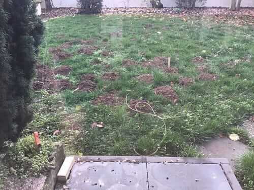 Image #1 from Gerd M.