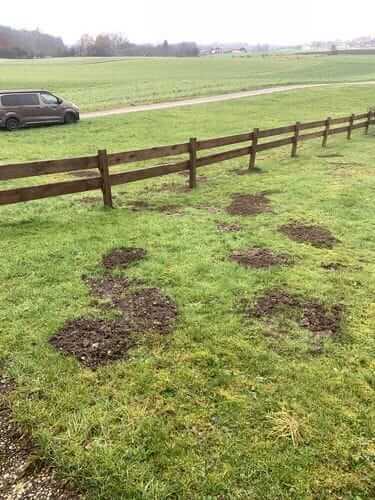 Image #1 from Fraands S.