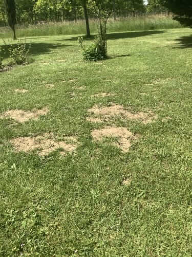 Image #1 from Gerard D.