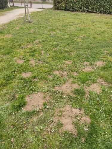 Image #1 from Marie L.