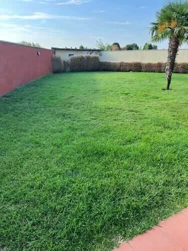 Image #1 from Luisa L.