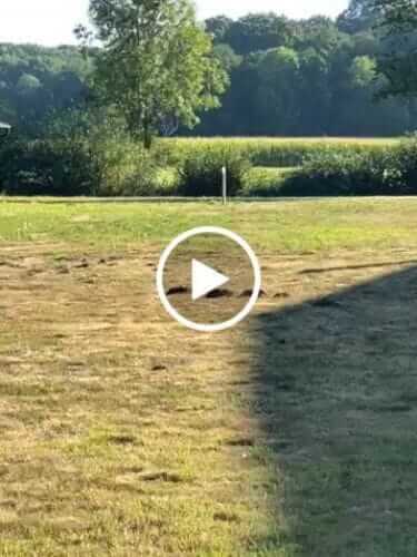 Image #1 from Mohammad A.